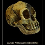 homo floresiensis